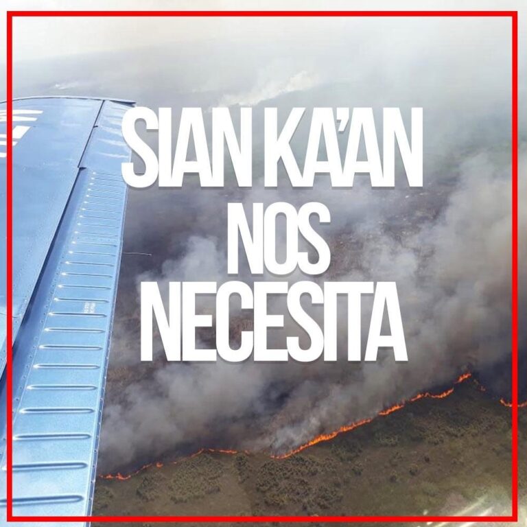 SIAN KAAN NOS NECESITA