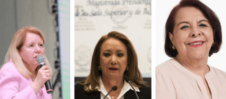 TERNA SCJN AMLO