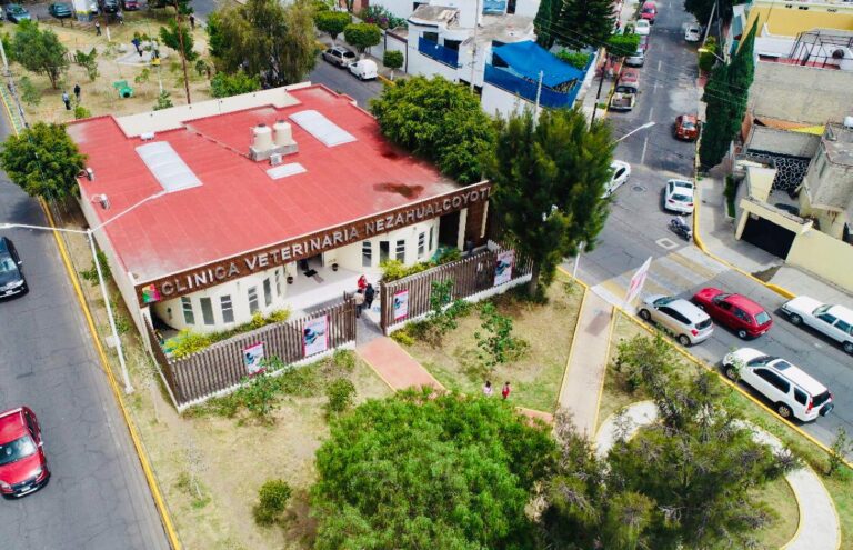 clinica veterinaria neza