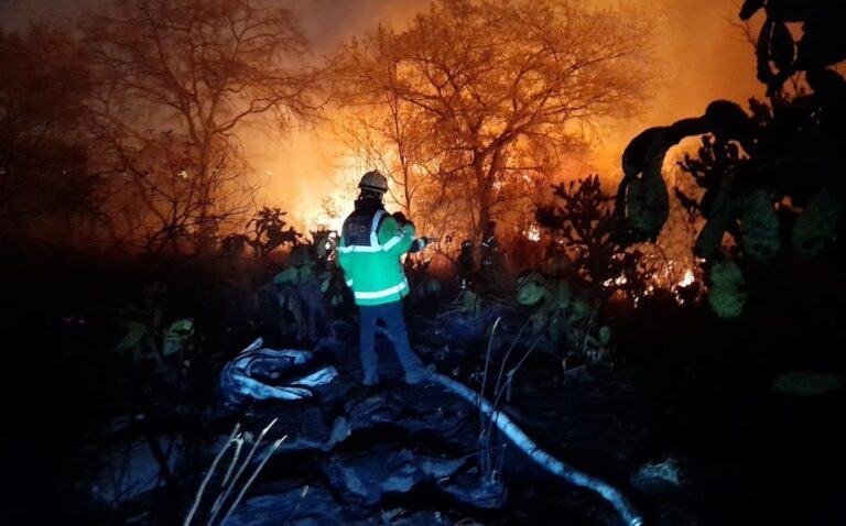 Se-registra-incendio-de-pastizal-en-la-Reserva-Ecologica-de-la-alcaldia-Tlalpan