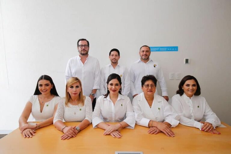 pVEM Golpe institucional