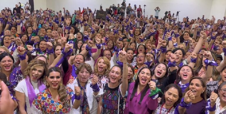 sheibaum celebra 8m