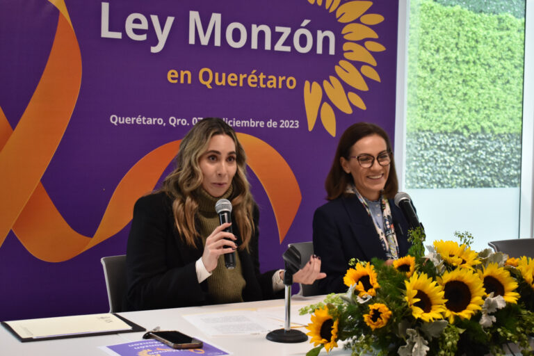 ley monzon 1