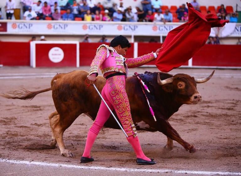 toros 4