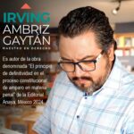 Las causales de excepción al principio de definitividad